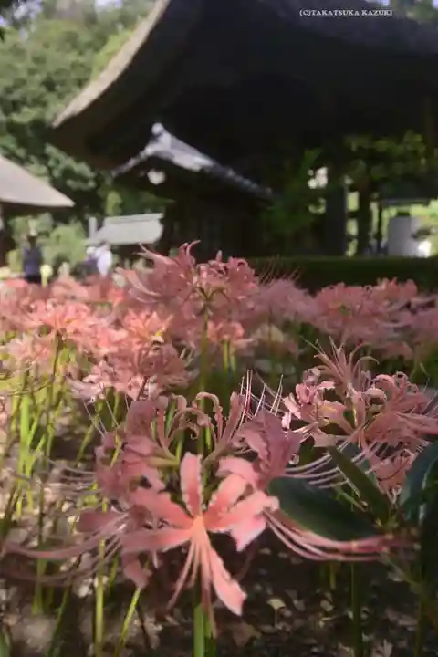 横浜 西方寺(神奈川県)