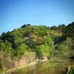 高司神社〜むすびの神の鎮まる社〜の自然