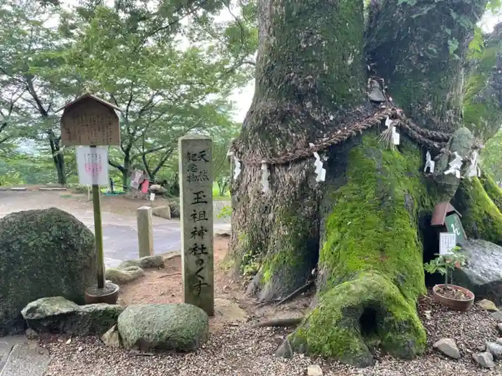 玉祖神社のその他建物