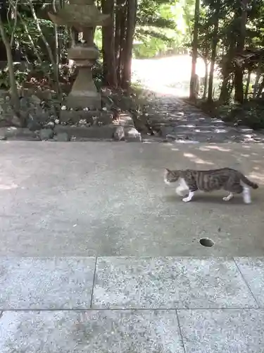 玉野御嶽神社の動物