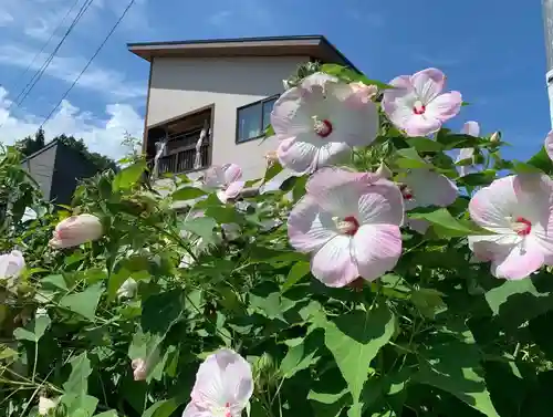 飯笠山神社の自然