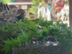 滑川神社 - 仕事と子どもの守り神の手水