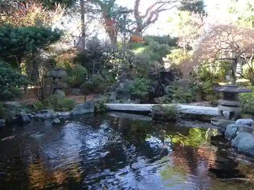 感通寺の庭園