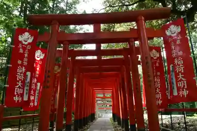 大杉神社(茨城県)