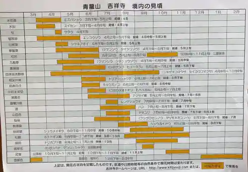 青龍山 吉祥寺(群馬県)