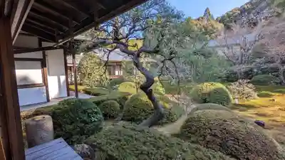 雲龍院(京都府)