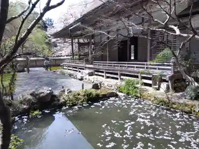 常照皇寺(京都府)