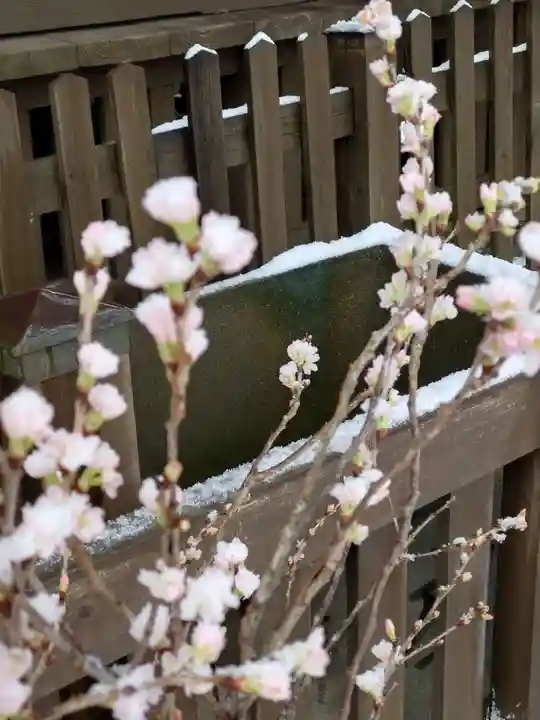 阿邪訶根神社(福島県)