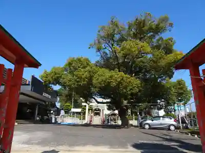 諏訪神社のその他建物