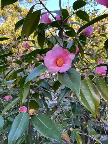 溝旗神社（肇國神社）の自然