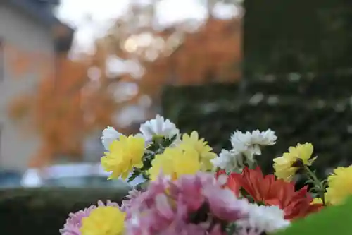 熊野福藏神社の手水