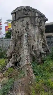 愛宕神社(栃木県)
