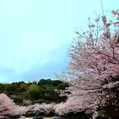 岩水寺の自然