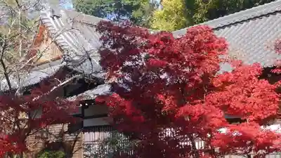 光明寺（粟生光明寺）の本殿・本堂