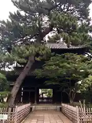 泉岳寺の山門