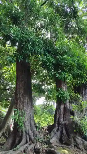 譽田八幡神社(千葉県)