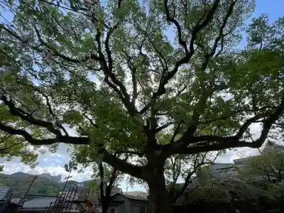 菅原神社(長崎県)