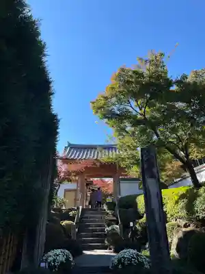 宝徳寺の山門・神門