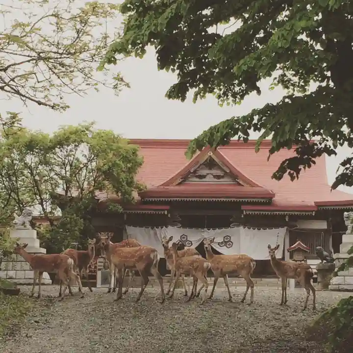 釧路一之宮 厳島神社の動物