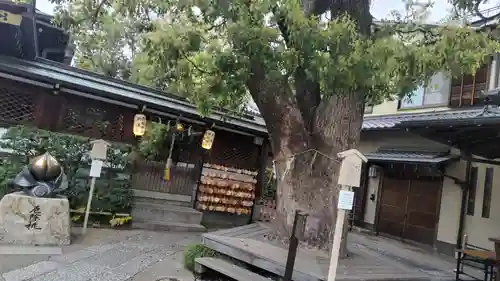 晴明神社(京都府)