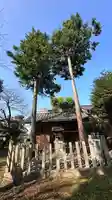 猿田彦神社(滋賀県)