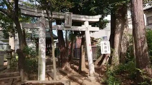 鳩ヶ谷氷川神社の鳥居