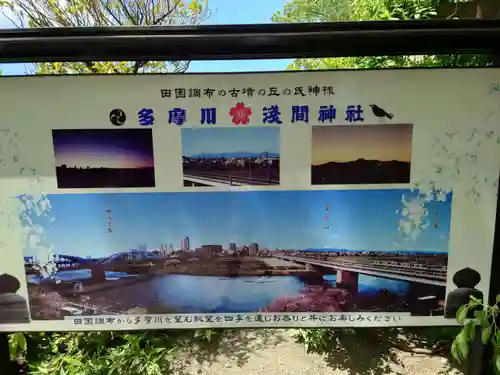 多摩川浅間神社(東京都)