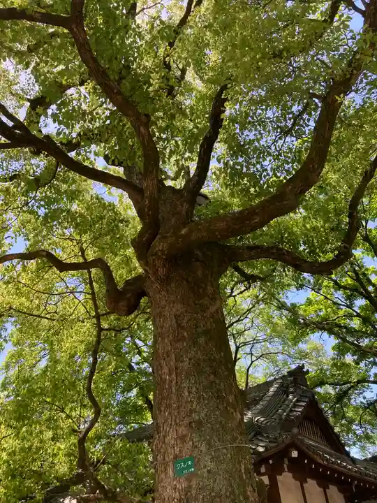 難波八幡神社(兵庫県)
