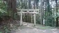 天乃石立神社の鳥居