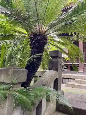 竜谷寺(東京都)