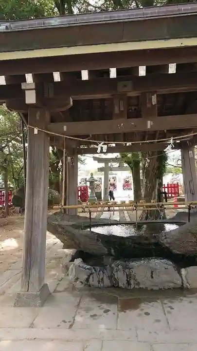唐津神社(佐賀県)