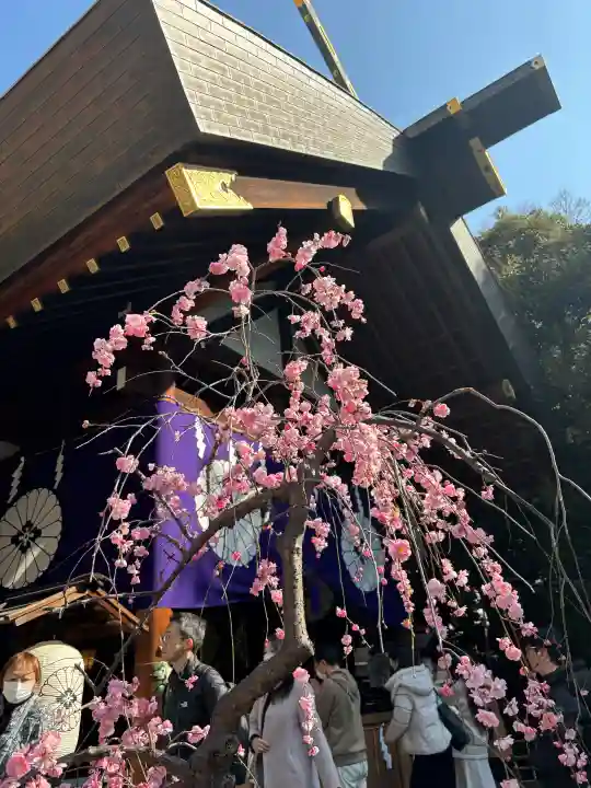 東京大神宮の{uncategorized: "未分類", other: "その他", undefined: "問題あり", building: "その他建物", grave: "お墓", sacred_gate: "鳥居", guardian: "狛犬", statue: "像", buddha: "仏像", history: "歴史", nature: "自然", garden: "庭園", animal: "動物", pagoda: "塔", temizu: "手水舎", mountain_gate: "山門・神門", sanctuary: "本殿・本堂", subordinate: "末社・摂社", art: "芸術", scenery: "景色", jizo: "地蔵", ema: "絵馬", goshuin: "御朱印", omikuji: "おみくじ", items: "授与品その他", amulet: "お守り", goshuincho: "御朱印帳", eats: "食事", festival: "お祭り", votive_dance: "神楽", shichigosan: "七五三参", wedding: "結婚式", experience: "体験その他", initially: "初詣", around: "周辺", anti_infection: "感染症対策"}