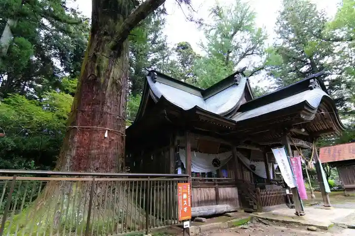 近津神社(茨城県)