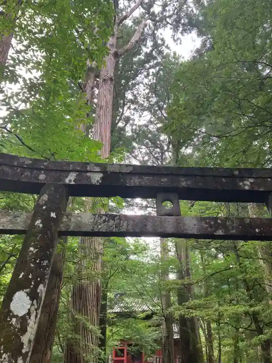 瀧尾神社(日光二荒山神社別宮)(栃木県)