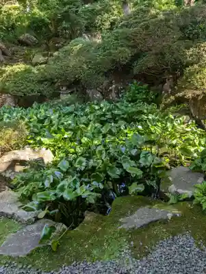 岩松院(長野県)