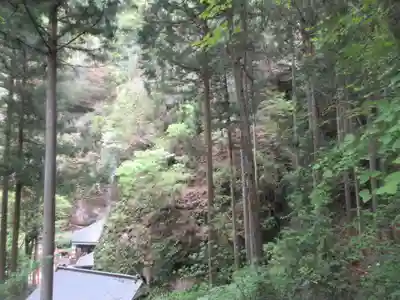 観音院(埼玉県)