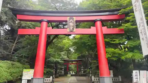 大宮八幡宮の鳥居