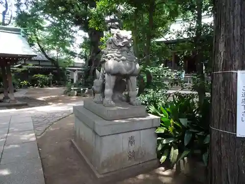 奥澤神社の狛犬