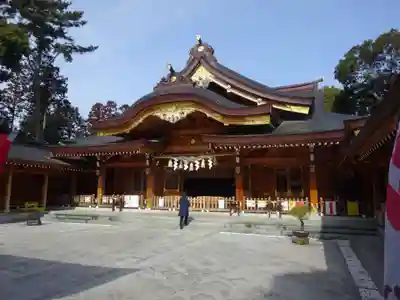 亀ケ池八幡宮の本殿・本堂