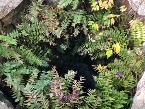 眞田神社(長野県)