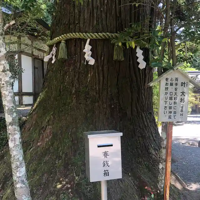 丹生川上神社(中社)(奈良県)