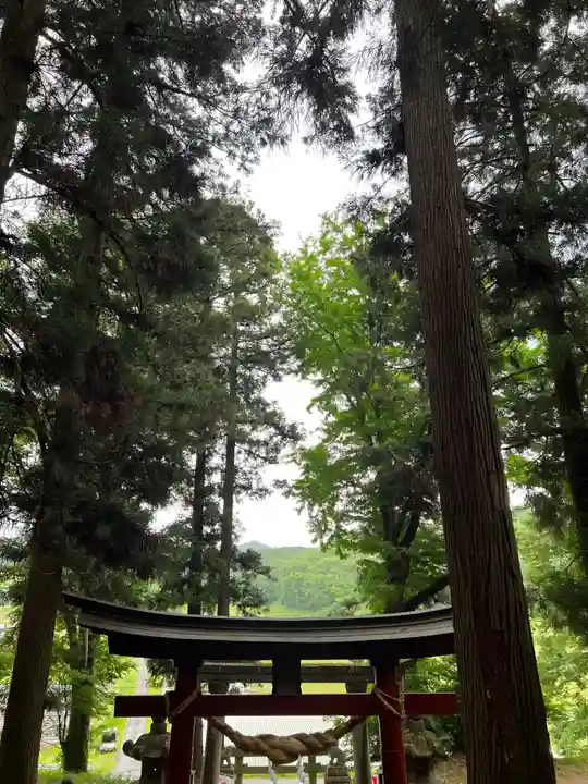 大宮温泉神社(栃木県)
