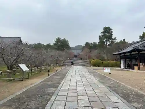 仁和寺(京都府)