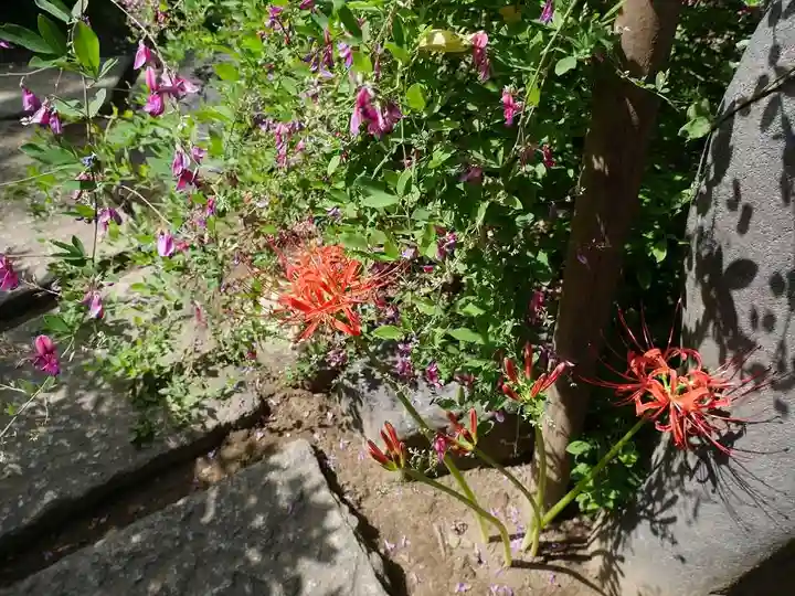 龍眼寺(萩寺)の自然