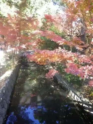 鶴岡八幡宮の庭園