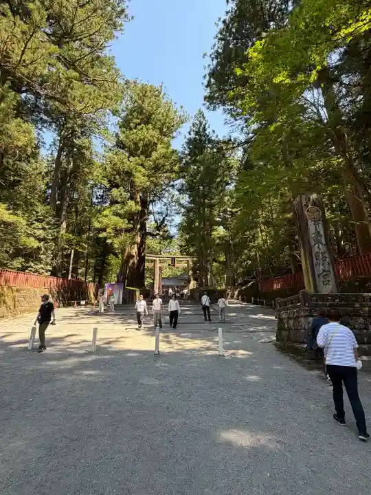 日光山輪王寺大護摩堂の{uncategorized: "未分類", other: "その他", undefined: "問題あり", building: "その他建物", grave: "お墓", sacred_gate: "鳥居", guardian: "狛犬", statue: "像", buddha: "仏像", history: "歴史", nature: "自然", garden: "庭園", animal: "動物", pagoda: "塔", temizu: "手水舎", mountain_gate: "山門・神門", sanctuary: "本殿・本堂", subordinate: "末社・摂社", art: "芸術", scenery: "景色", jizo: "地蔵", ema: "絵馬", goshuin: "御朱印", omikuji: "おみくじ", items: "授与品その他", amulet: "お守り", goshuincho: "御朱印帳", eats: "食事", festival: "お祭り", votive_dance: "神楽", shichigosan: "七五三参", wedding: "結婚式", experience: "体験その他", initially: "初詣", around: "周辺", anti_infection: "感染症対策"}