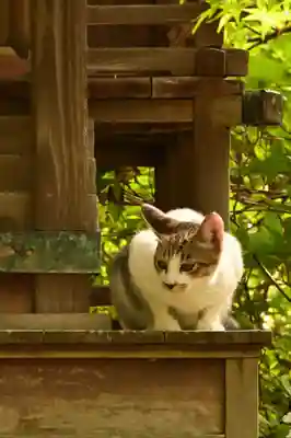 城上神社(島根県)