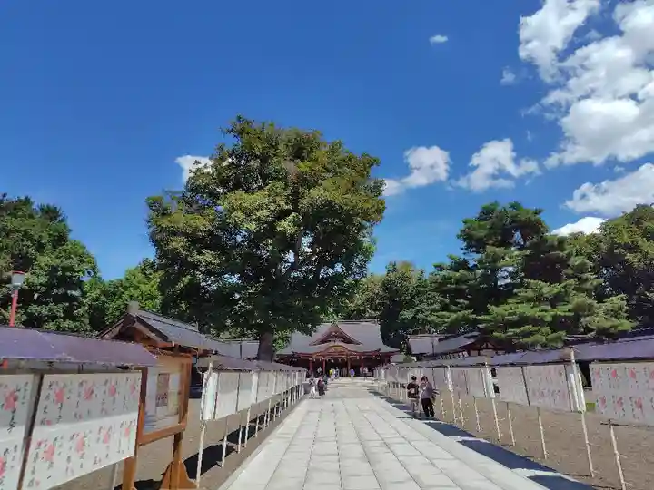 北海道護國神社のお祭り