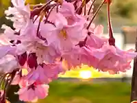 湯島天満宮(長野分社)(長野県)