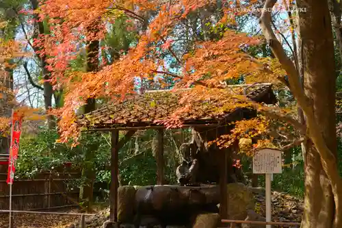 賀茂御祖神社（下鴨神社）(京都府)